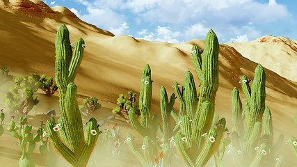 Image showing Joshua trees