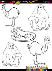 Image showing wild animals cartoon coloring book