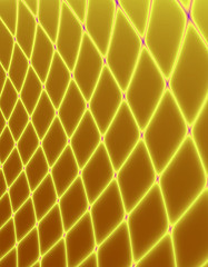 Image showing Golden Net