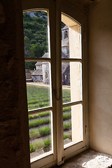 Image showing Lavander field