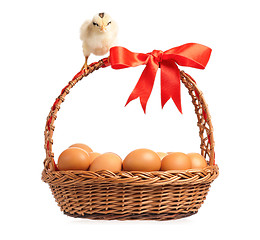 Image showing Chickens with basket