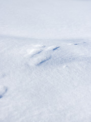 Image showing Footprints