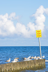 Image showing Groin in the Baltic Sea with danger sign