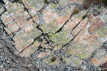 Image showing Background of natural rock with lichen