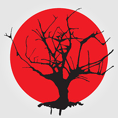 Image showing Old tree in Chinese style.