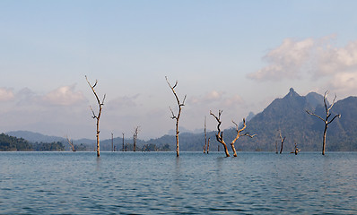 Image showing Cheow Lan Lake or Rajjaprabha Dam Reservoir, Thailand