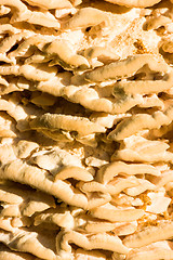 Image showing Polypore