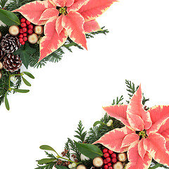 Image showing Poinsettia Floral Border