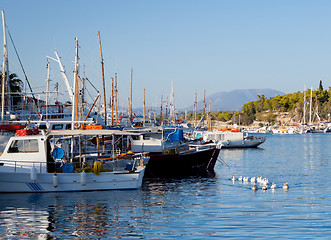 Image showing Ducks on harbour patrol