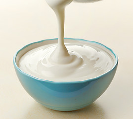 Image showing bowl of greek yogurt