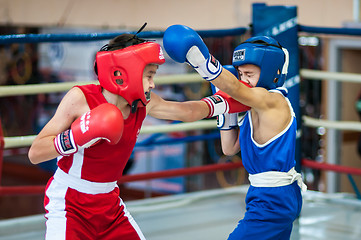 Image showing Competitions Boxing among Juniors,