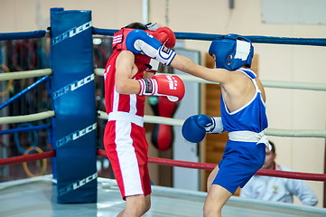 Image showing Competitions Boxing among Juniors,