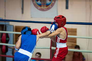 Image showing Competitions Boxing among Juniors,