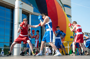 Image showing The boys busy in boxing