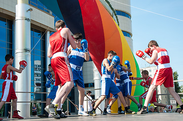 Image showing The boys busy in boxing