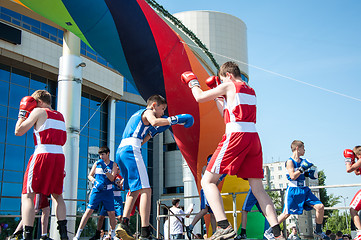 Image showing The boys busy in boxing