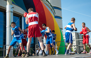 Image showing The boys busy in boxing