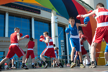 Image showing The boys busy in boxing