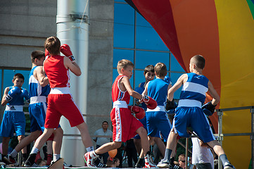 Image showing The boys busy in boxing