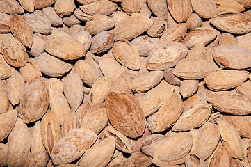 Image showing Fruit almonds or Prunus dulcis