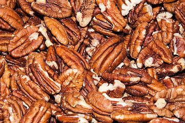 Image showing Pecan nut or Carya illinoinensis 