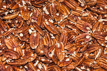 Image showing Pecan nut or Carya illinoinensis 