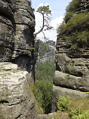 Image showing Saxon Switzerland