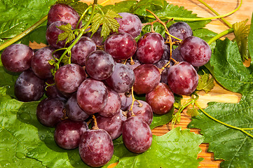 Image showing Bunch of grapes