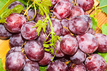 Image showing Bunch of grapes