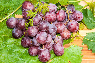 Image showing Bunch of grapes