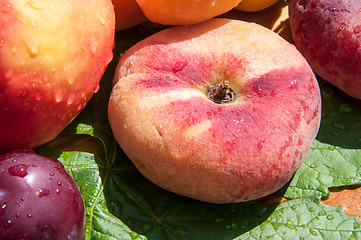 Image showing Fig peach