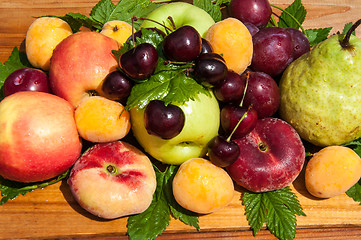 Image showing Fruit tree fruit,