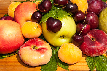 Image showing Fruit tree fruit,