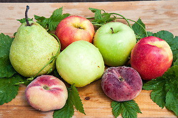 Image showing Fruit tree fruit