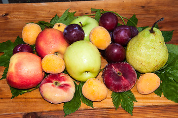 Image showing Fruit tree fruit