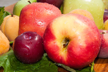 Image showing Fruit tree fruit