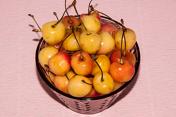 Image showing The fruits of sweet cherry