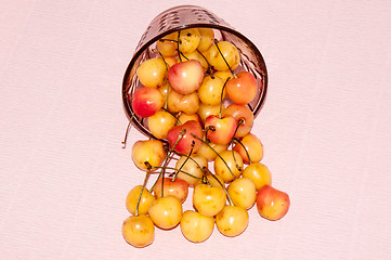 Image showing The fruits of sweet cherry