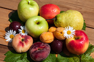 Image showing Fruit tree fruit,