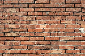 Image showing Brick Wall