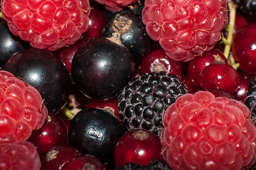 Image showing Assorted Berry 