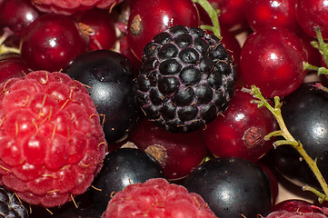 Image showing Assorted Berry 