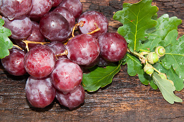 Image showing Bunch of grapes and oak leaf