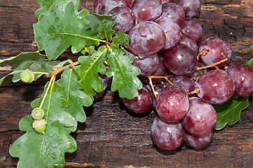 Image showing Bunch of grapes and oak leaf