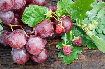 Image showing Bunch of grapes and oak leaf