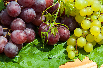 Image showing Bunch of grapes,