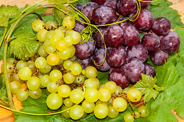 Image showing Bunch of grapes,