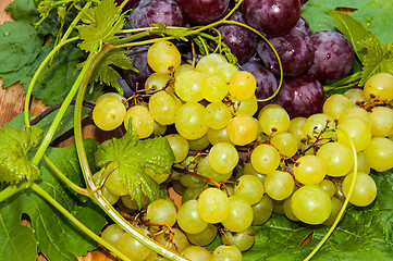 Image showing Bunch of grapes,