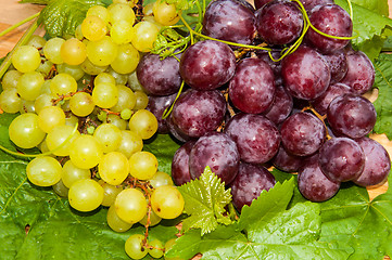 Image showing Bunch of grapes,