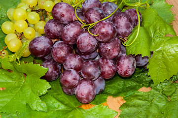 Image showing Bunch of grapes,